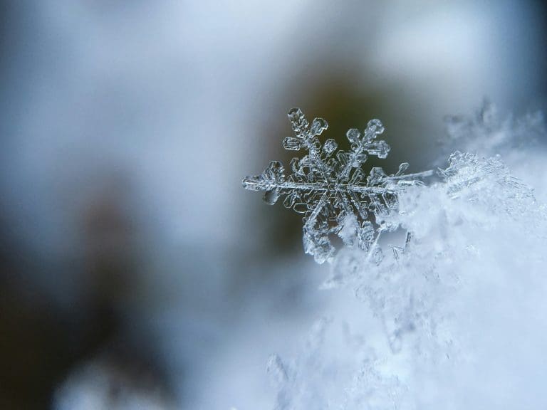 an image that represents winter