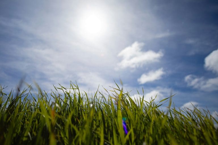 an image that represents spring